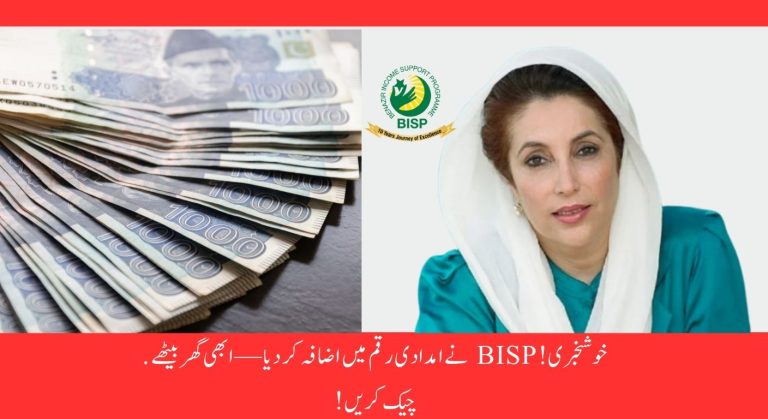 BISP 8171 Portal 2025: Check Eligibility for 13,500 Installment Online by CNIC Number