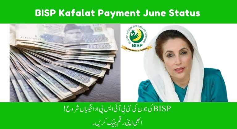 BISP Kafalat Payment Status June 2025: How Eligible Women Can Check Their Payments via SMS and Registered Agents