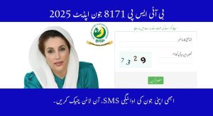 How to Check BISP 8171 June 2025 Payment by CNIC – Check SMS, Online, & Tehsil Office Guide