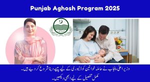 CM Punjab Launchs Aghosh Program 2025 – Support for Mothers…