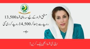 8171 Web Portal Check CNIC Online Budget 2025 Update
