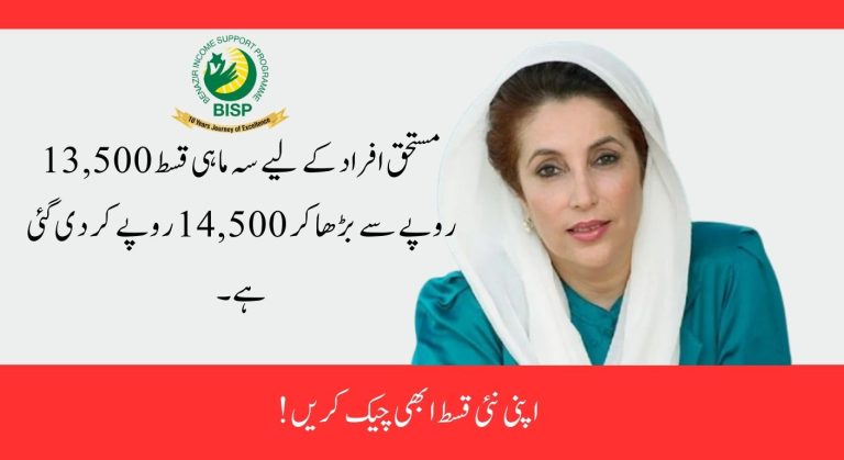 8171 Web Portal Check CNIC Online Budget 2025 Update